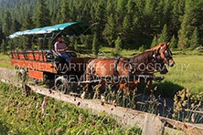 Ride with the horse carriage „Val Bever“ 
