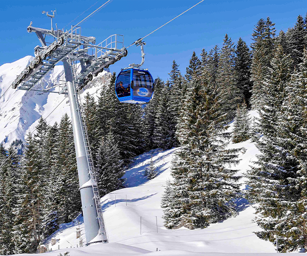 Vaucher&nbsp;for the gondola, the alpine slide and the ski area<br>