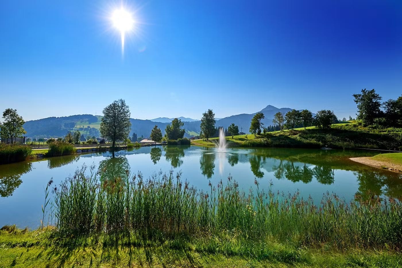 Sonnberg-Sommerurlaub