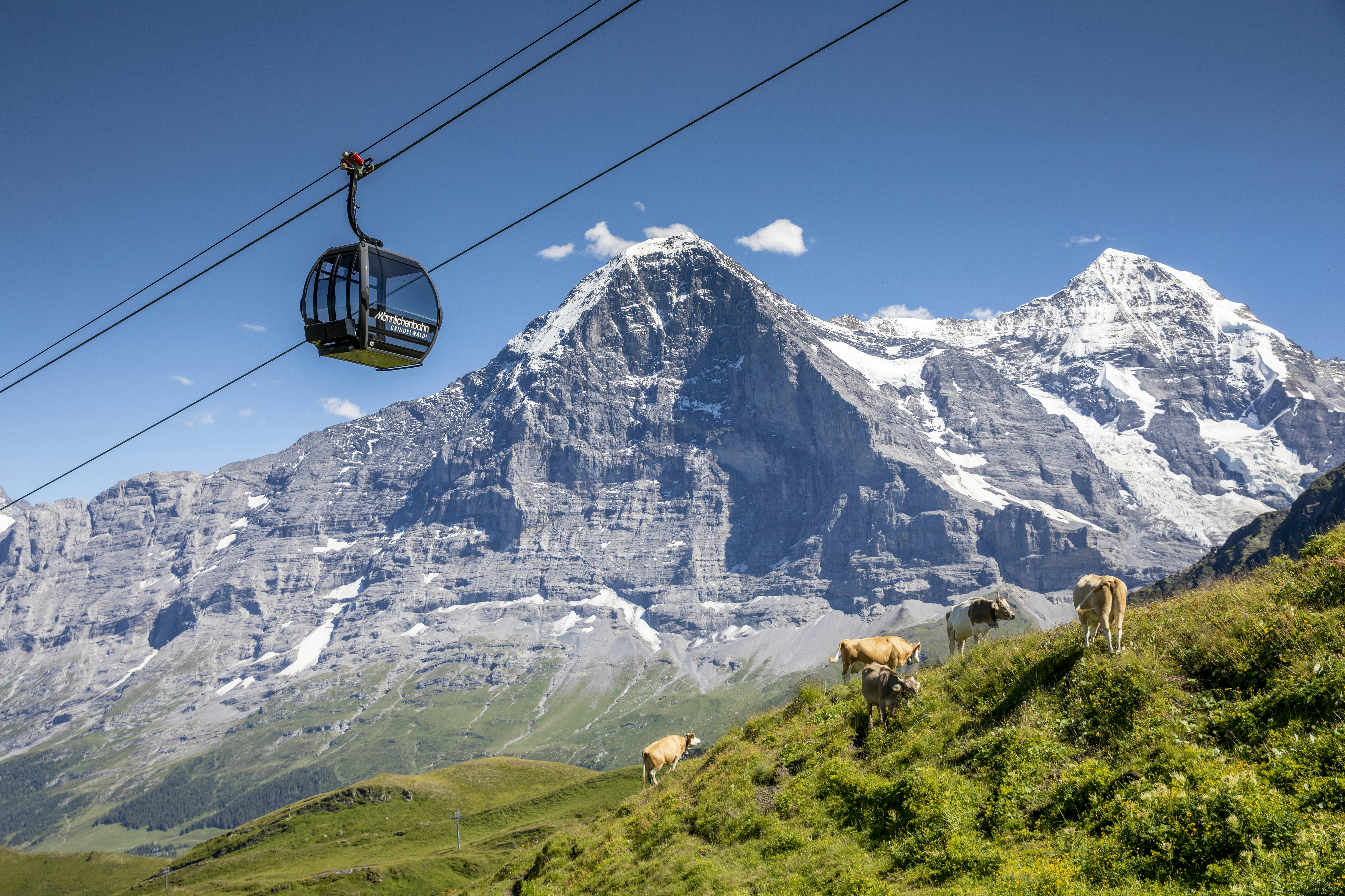 Fahrt mit der Gondelbahn Grindelwald-Männlichen