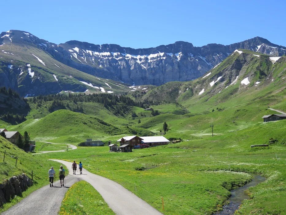 Wertgutschein Elsigen-Metsch
