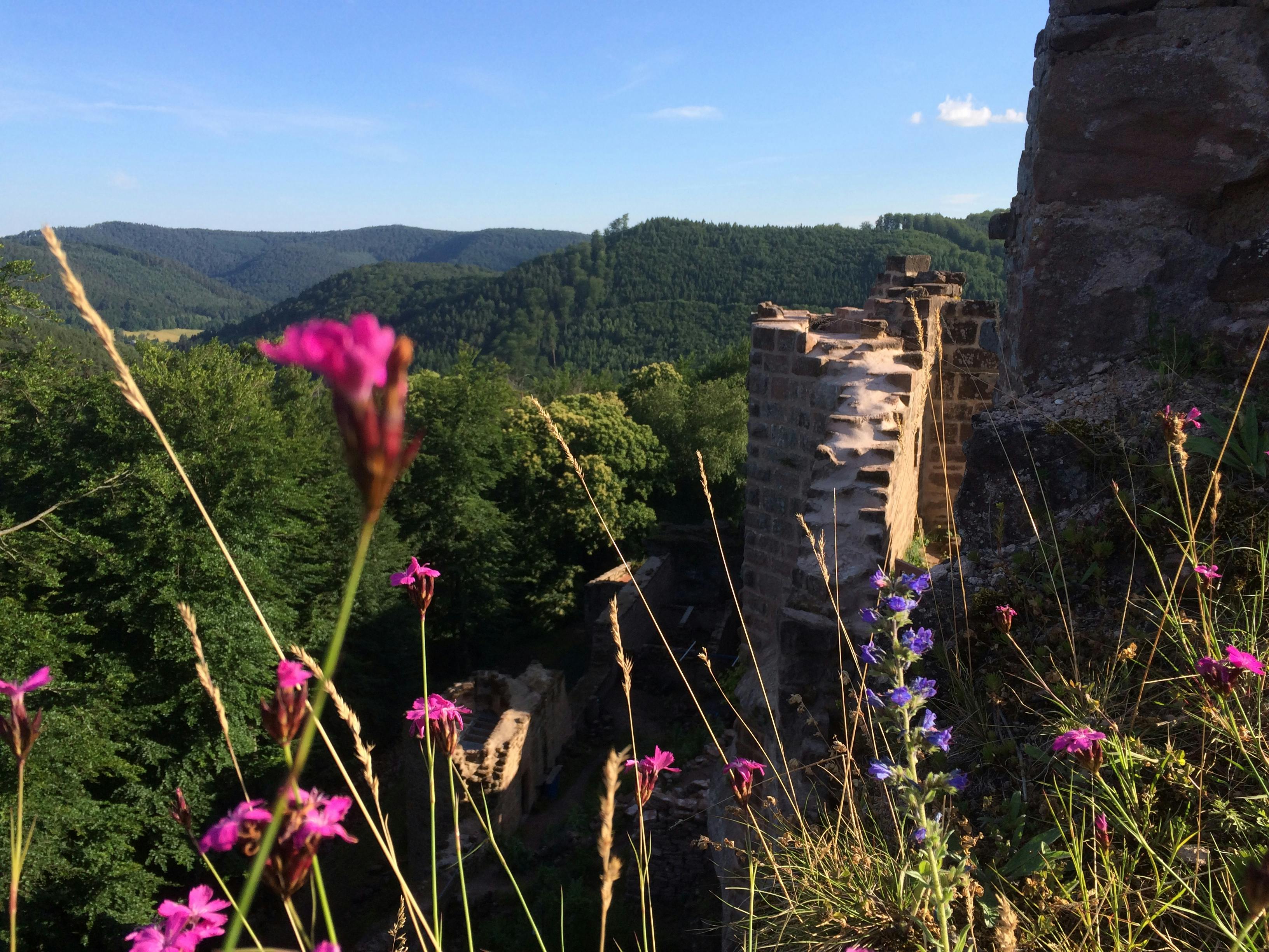 Ausflug ins Herzen des Naturparks