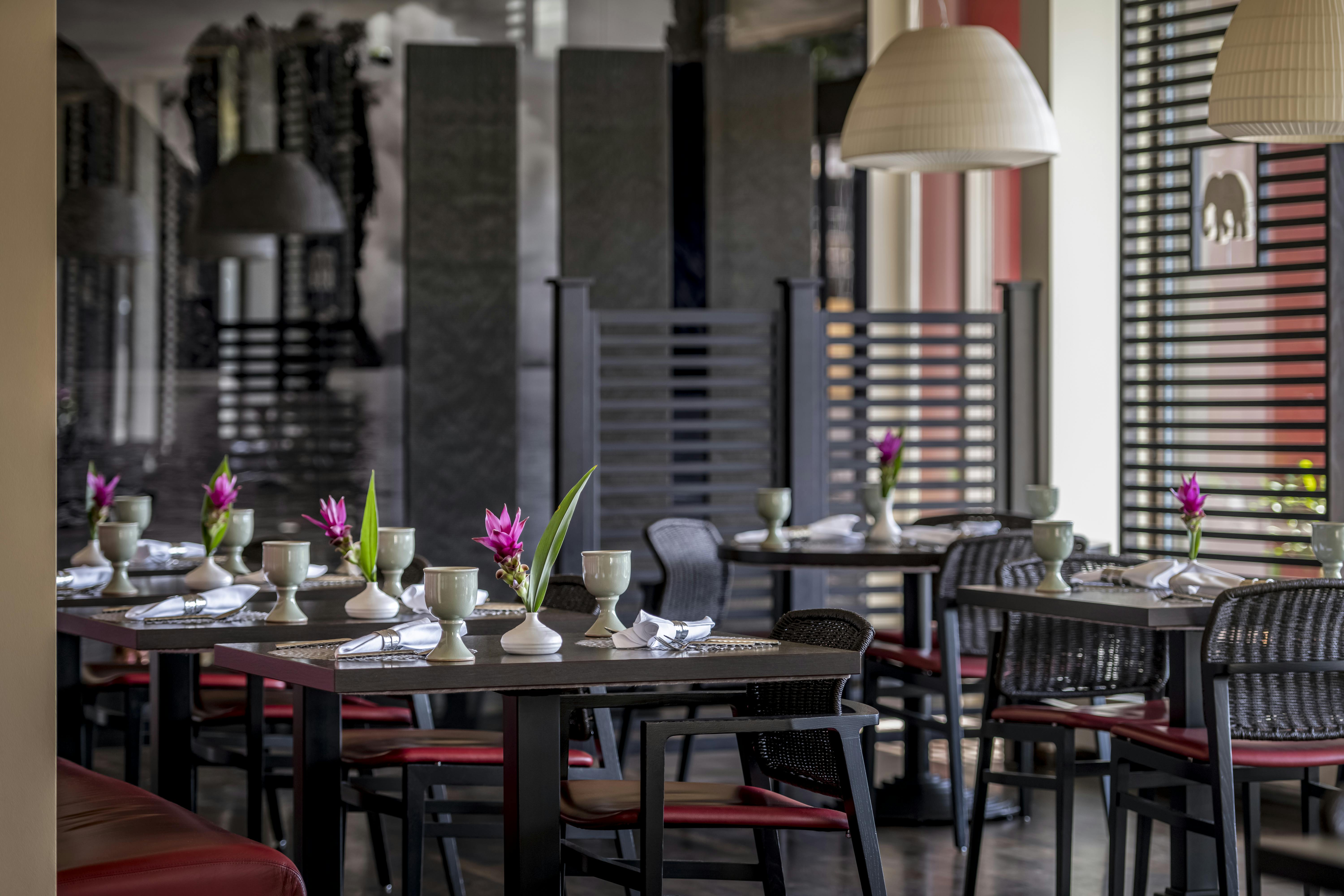 WHITE ELEPHANT <br>
GIFT CERTIFICATE