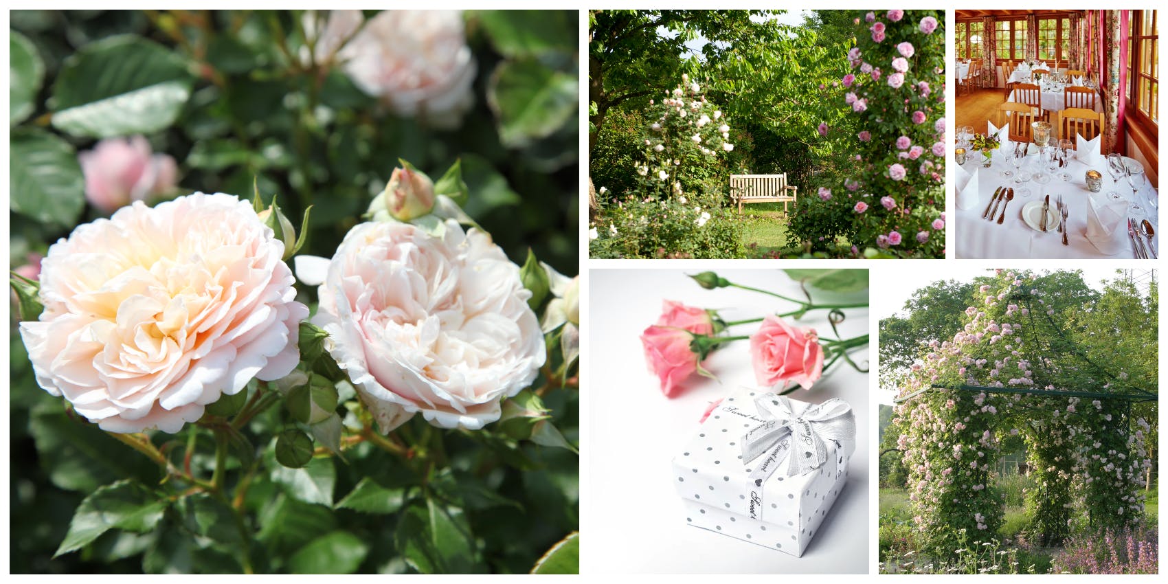 Wertgutschein – So viel Landhaus Ettenbühl, wie Sie mögen!<strong></strong><strong></strong>