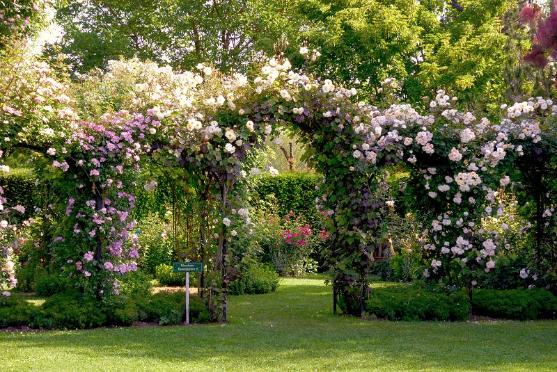 Garten- & Floristikkurse – Ein Tag voller Inspiration