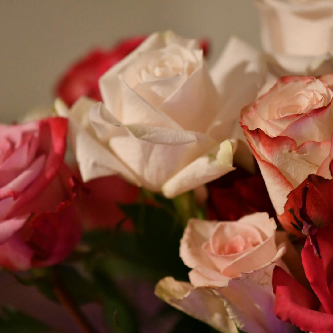 Gemeinsame Zeit und du kommst zum 1/2 Preis mit! 