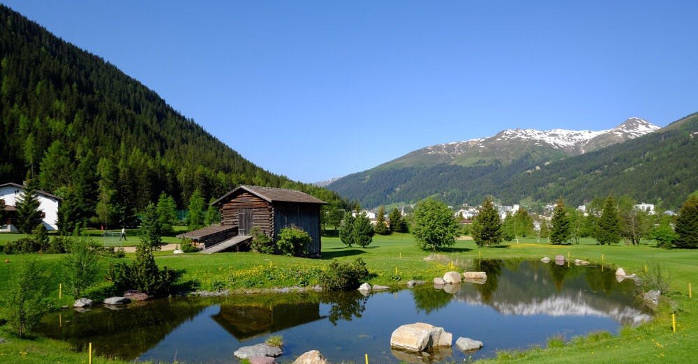 Wertgutschein Pro Shop