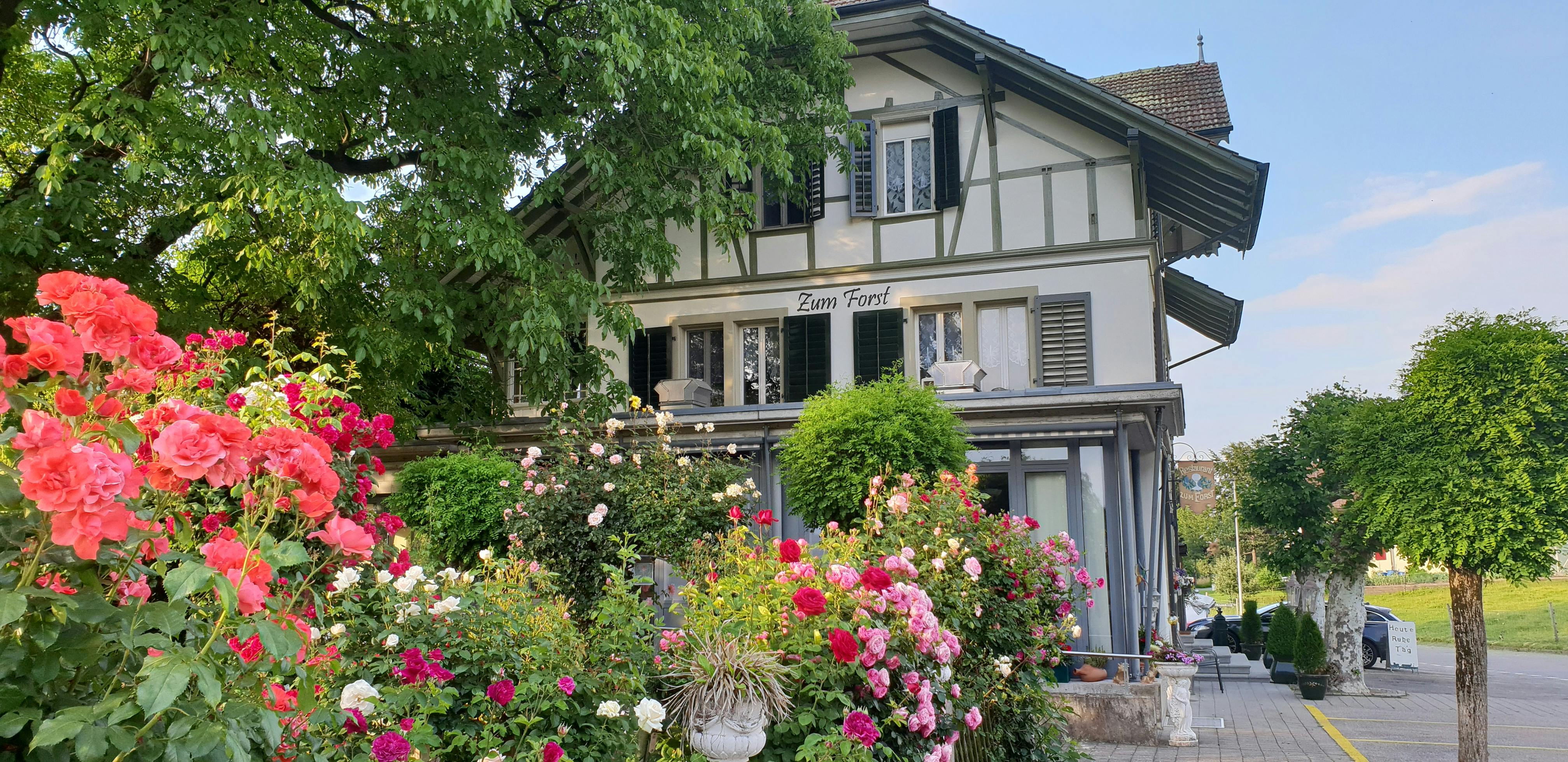 Überraschungs-Menü im Restaurant Forst