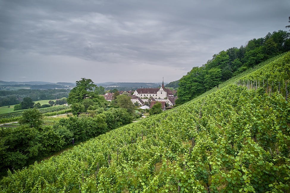 Ittingen Wine Tasting at the Restaurant Mühle
