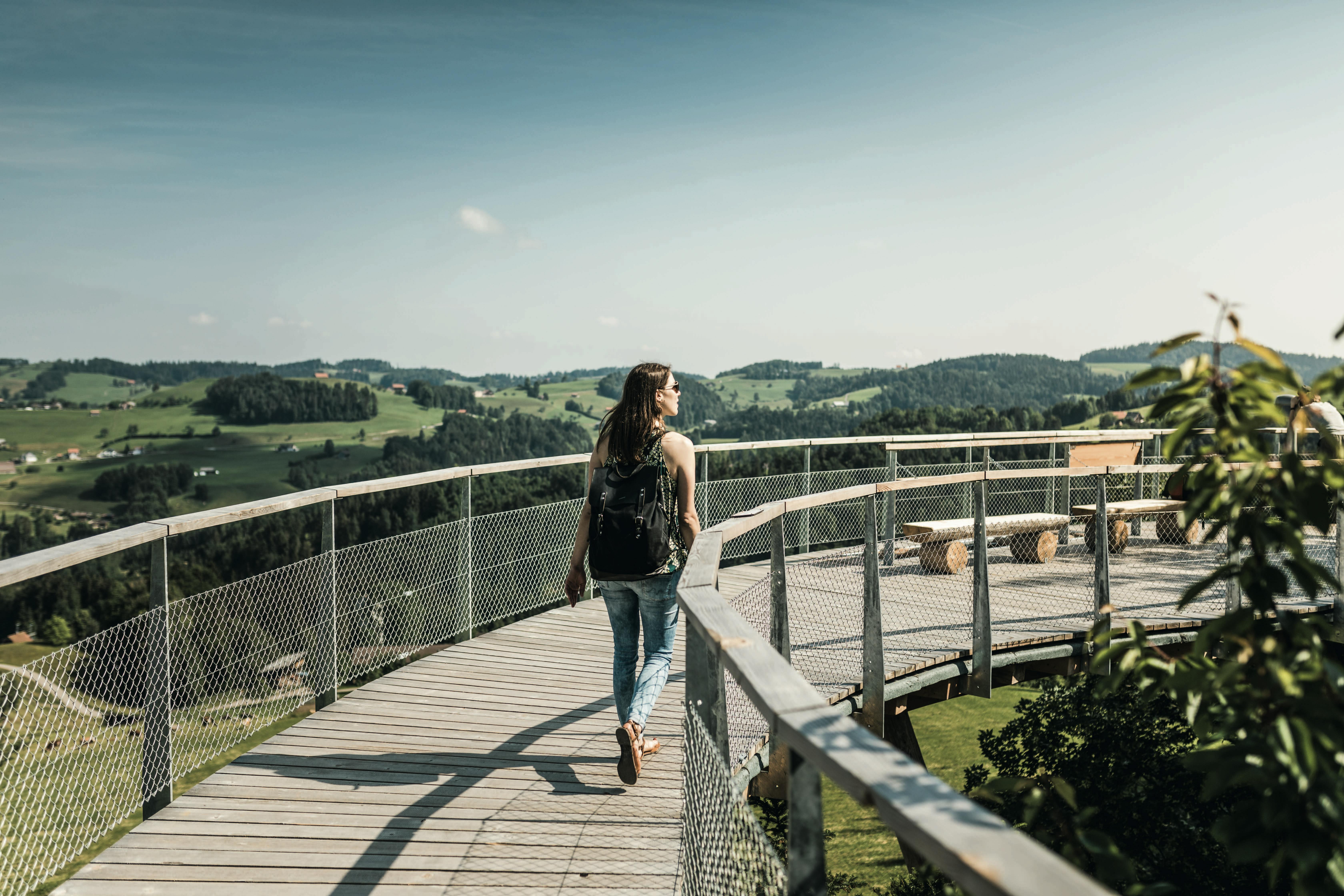 Einzeleintritt in den Baumwipfelpfad Neckertal<br>