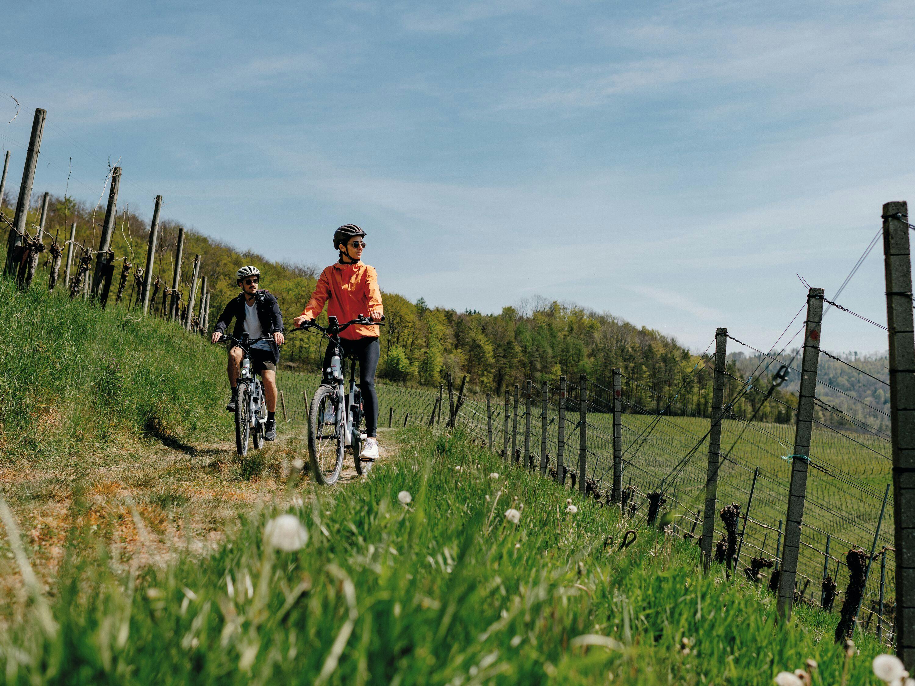 Zurzibieter E-Bike-Genusstour