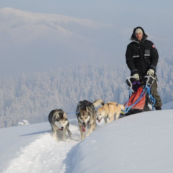 Schlittenhunde-Tagestour