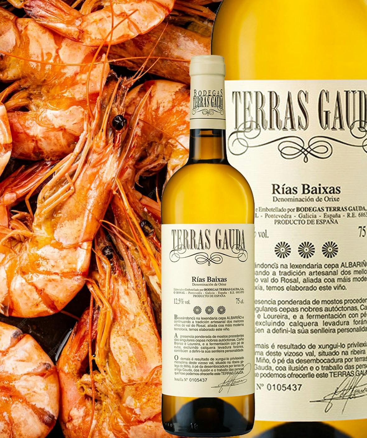 1kg Prawns in garlic & + 1 Btl. TERRAS GAUDA 2022