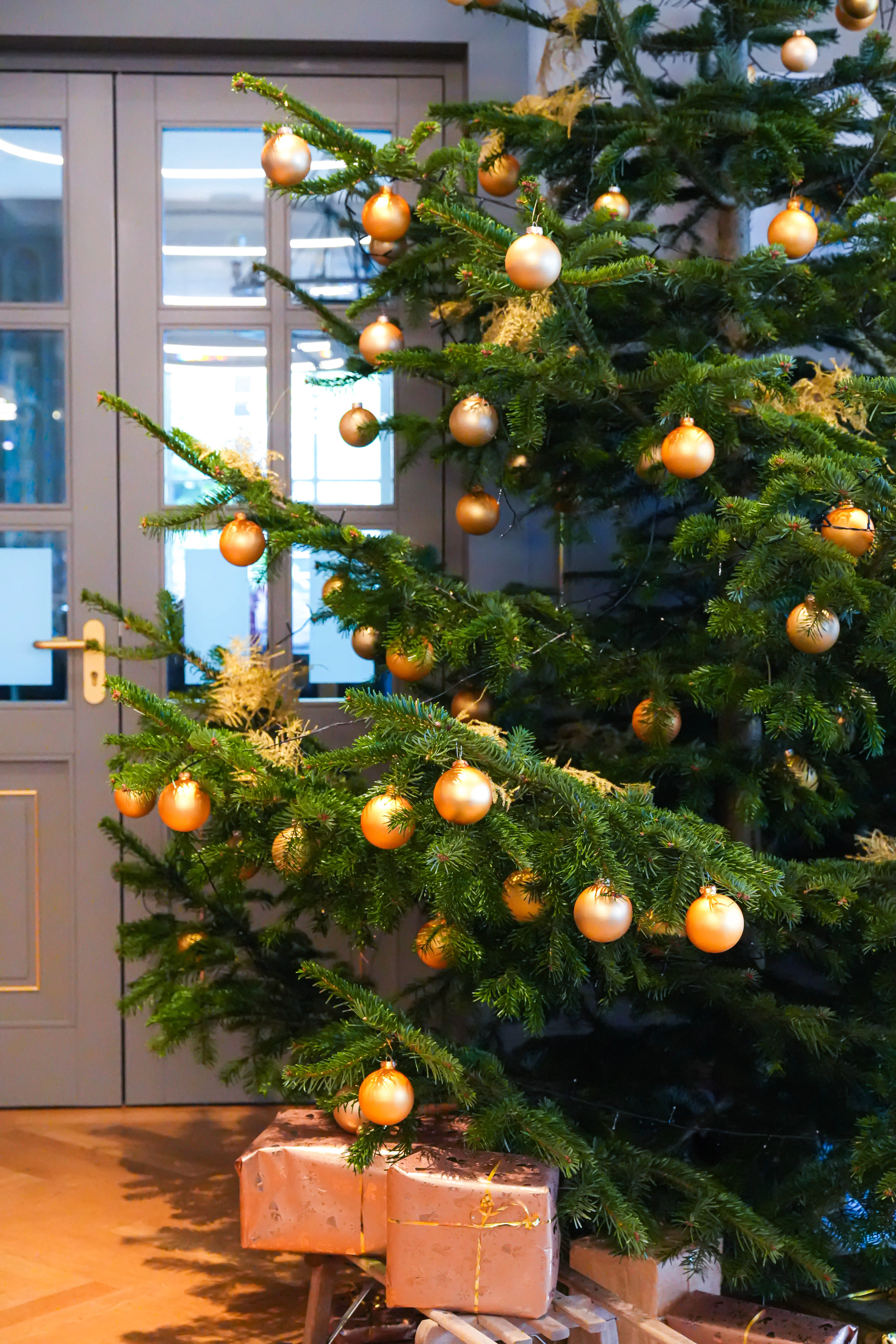 Festive brunch on the Petersberg