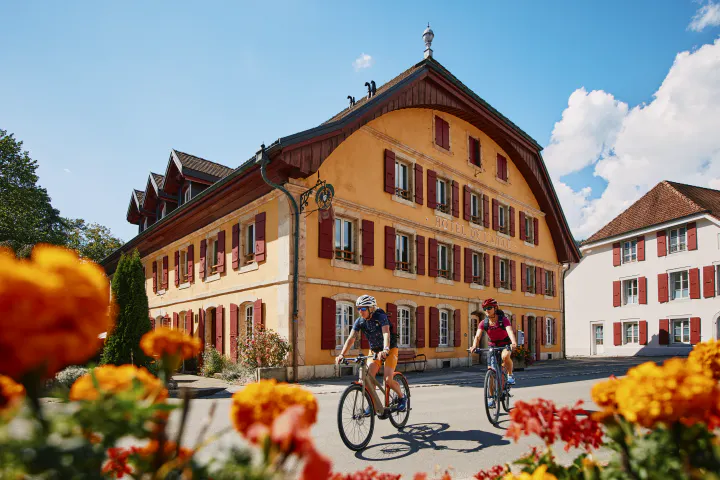 Bon valeur Hôtel de l’Aigle