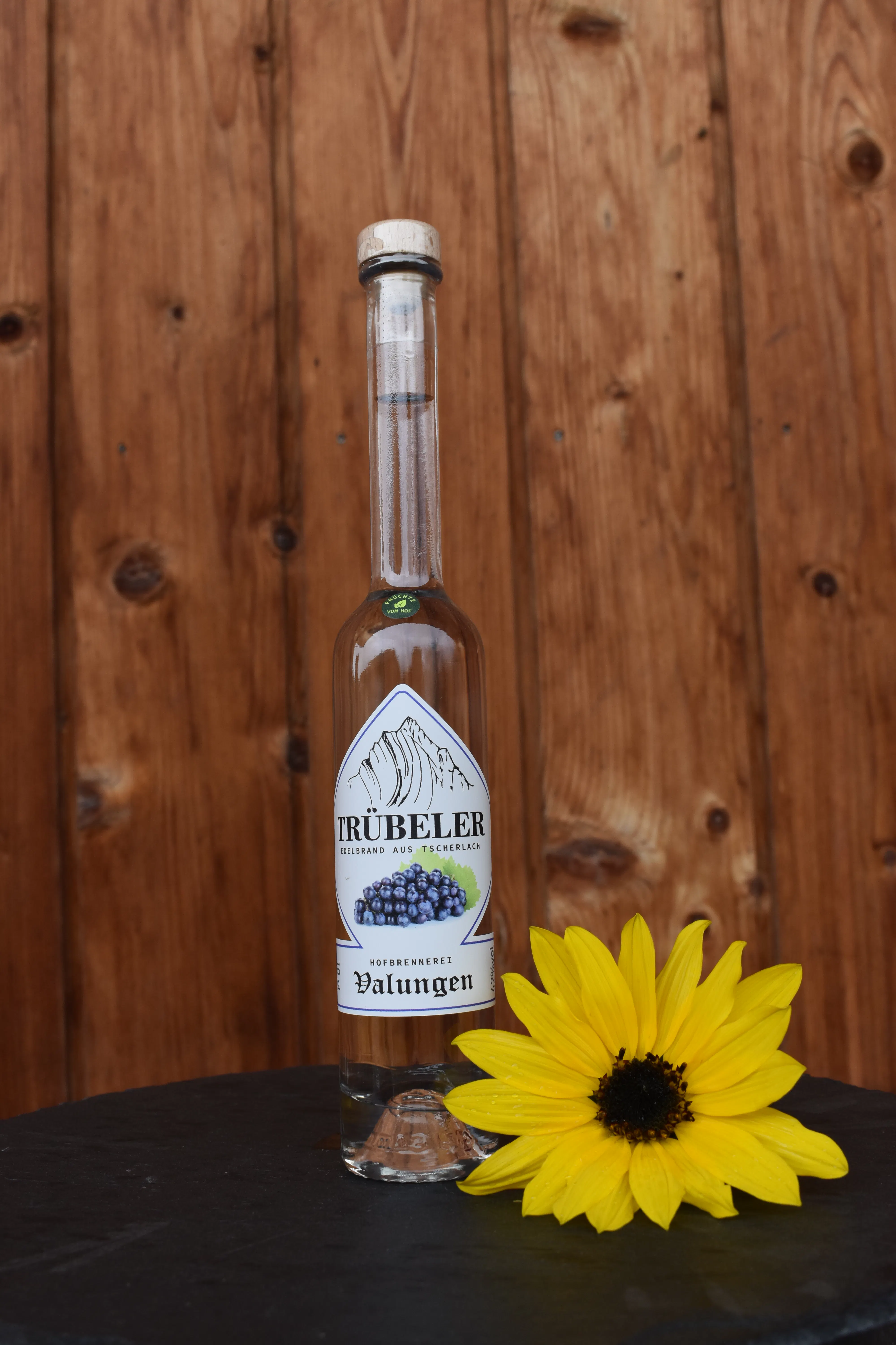 Trübeler