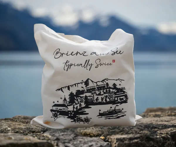 Tasche Brienz Scherenschnitt