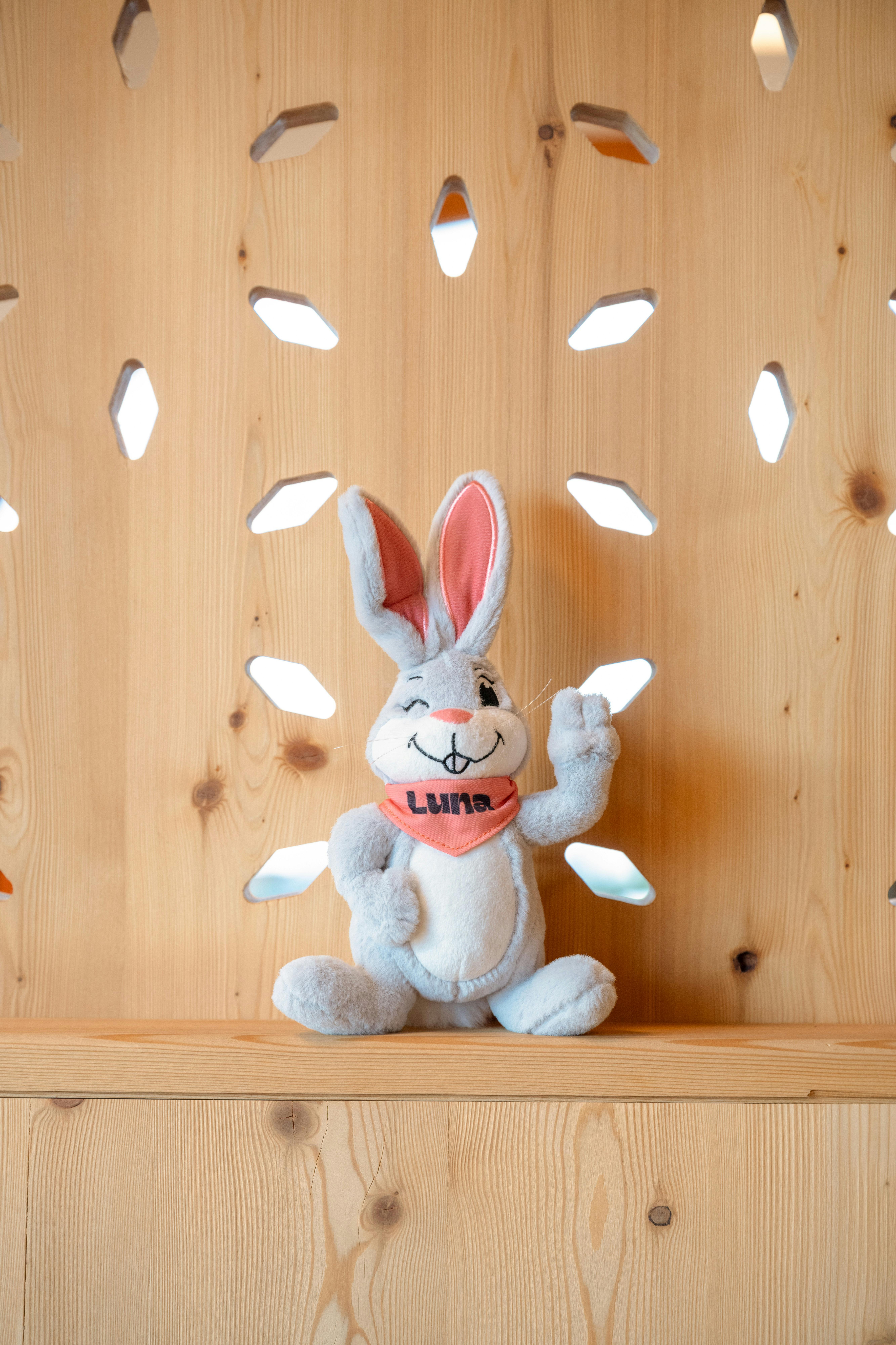 Luna - The snow hare