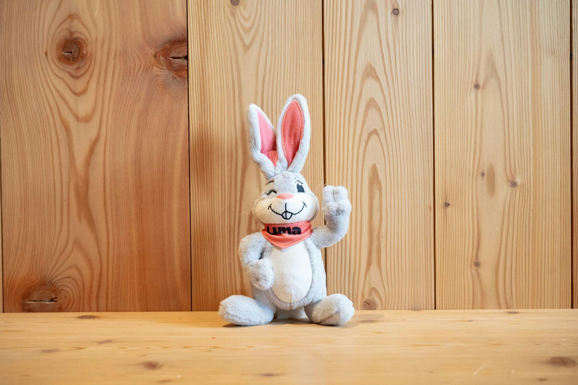 Luna – Der Schneehase