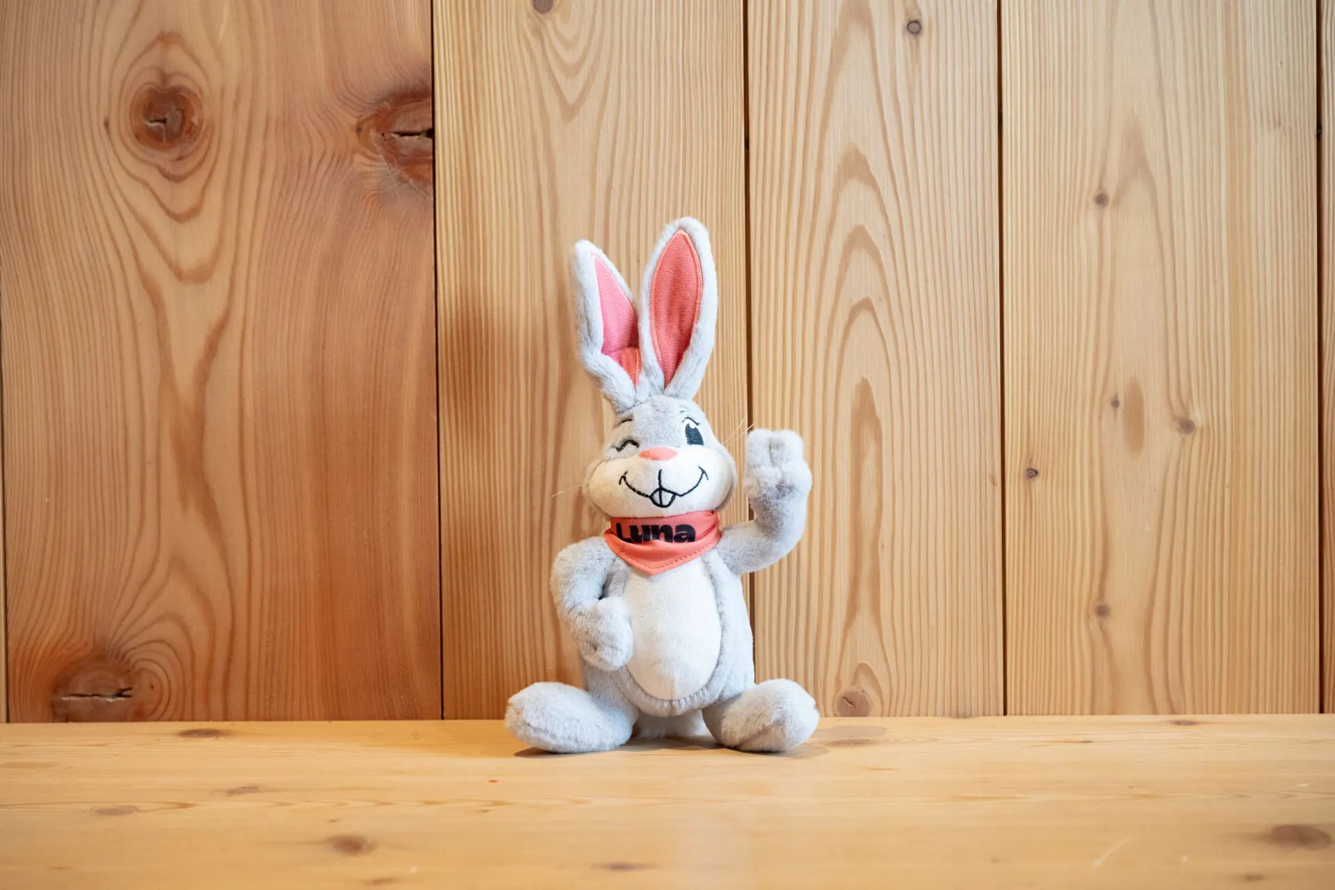 Luna - The snow bunny