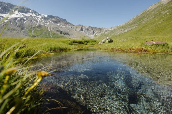 Kraftorte Engstligenalp