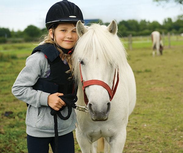 Pony and horse riding