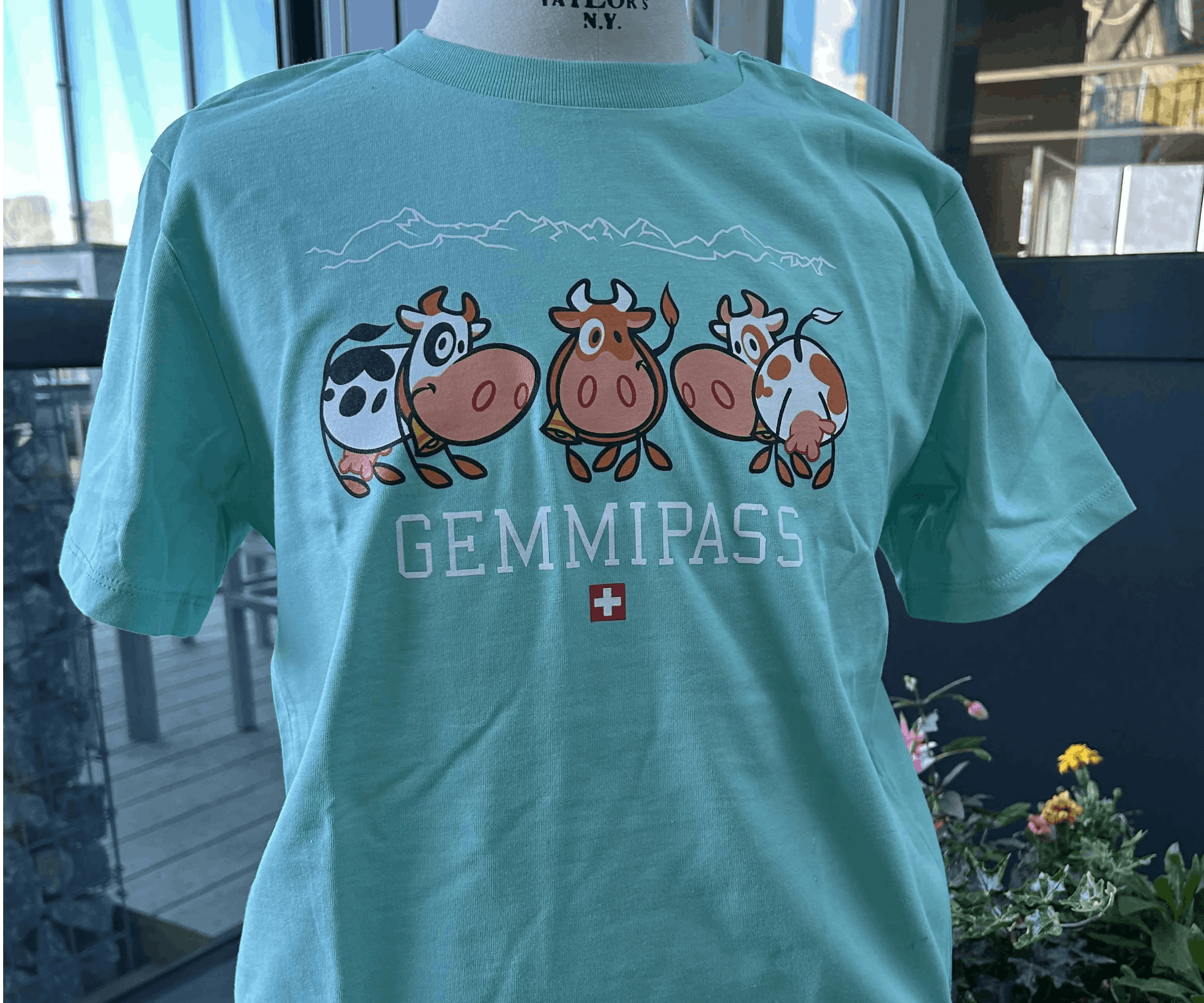 T-Shirt Kinder Gemmipass