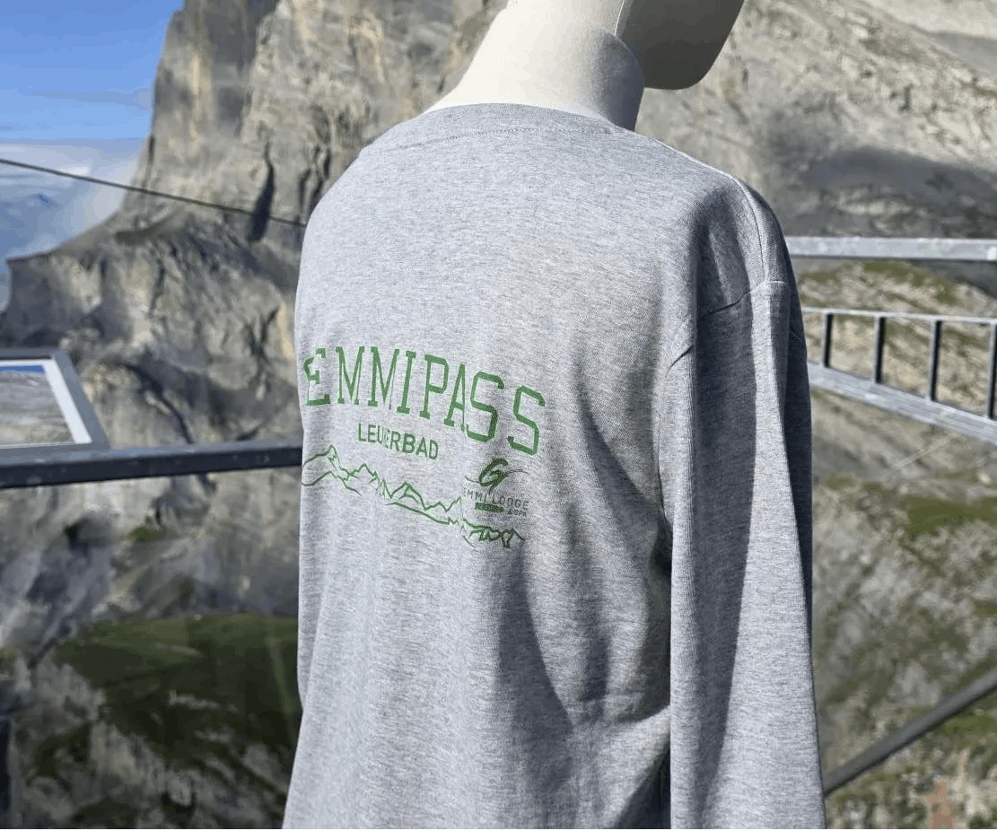 T-Shirt Gemmipass mit Alpenpanorama Grau