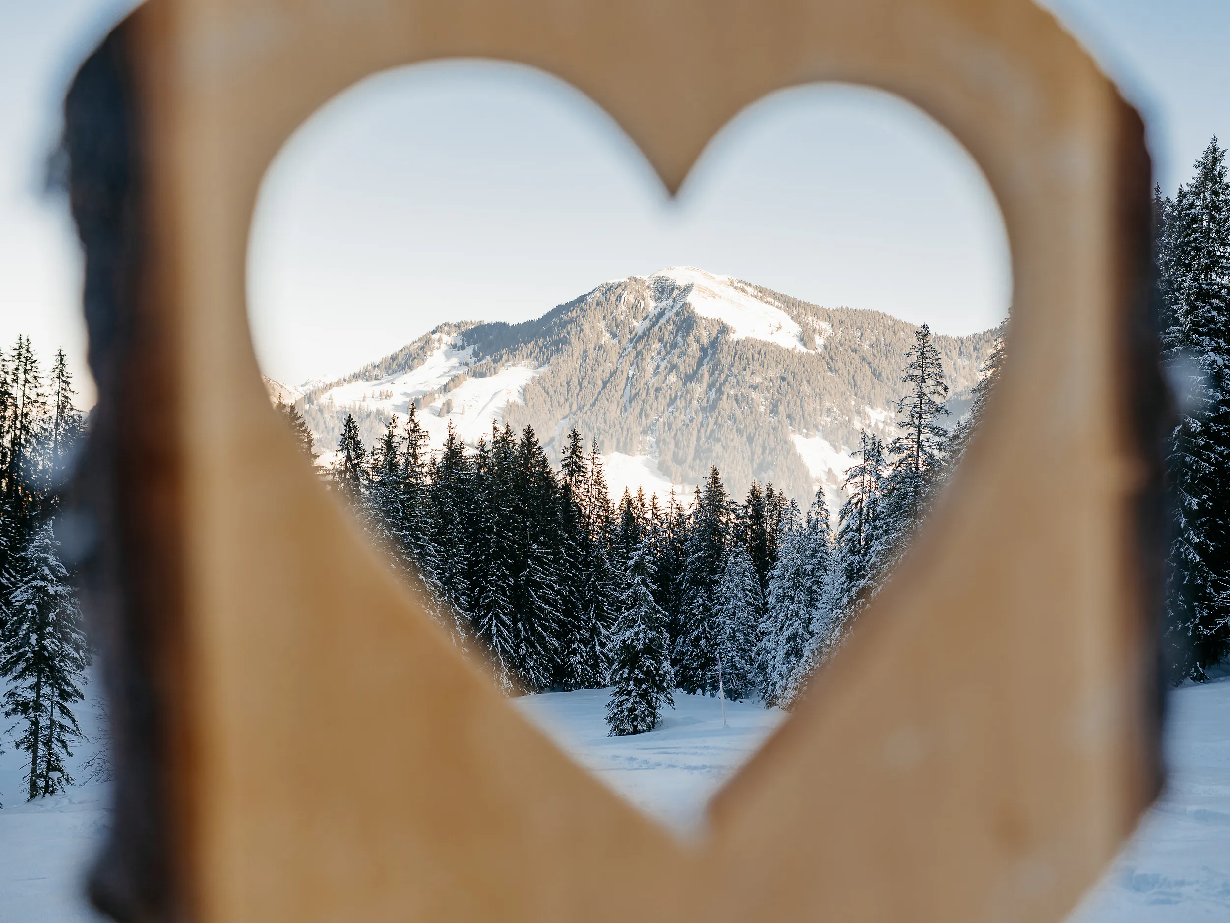 Wertgutschein Ski-Hütte Schwarzenegg