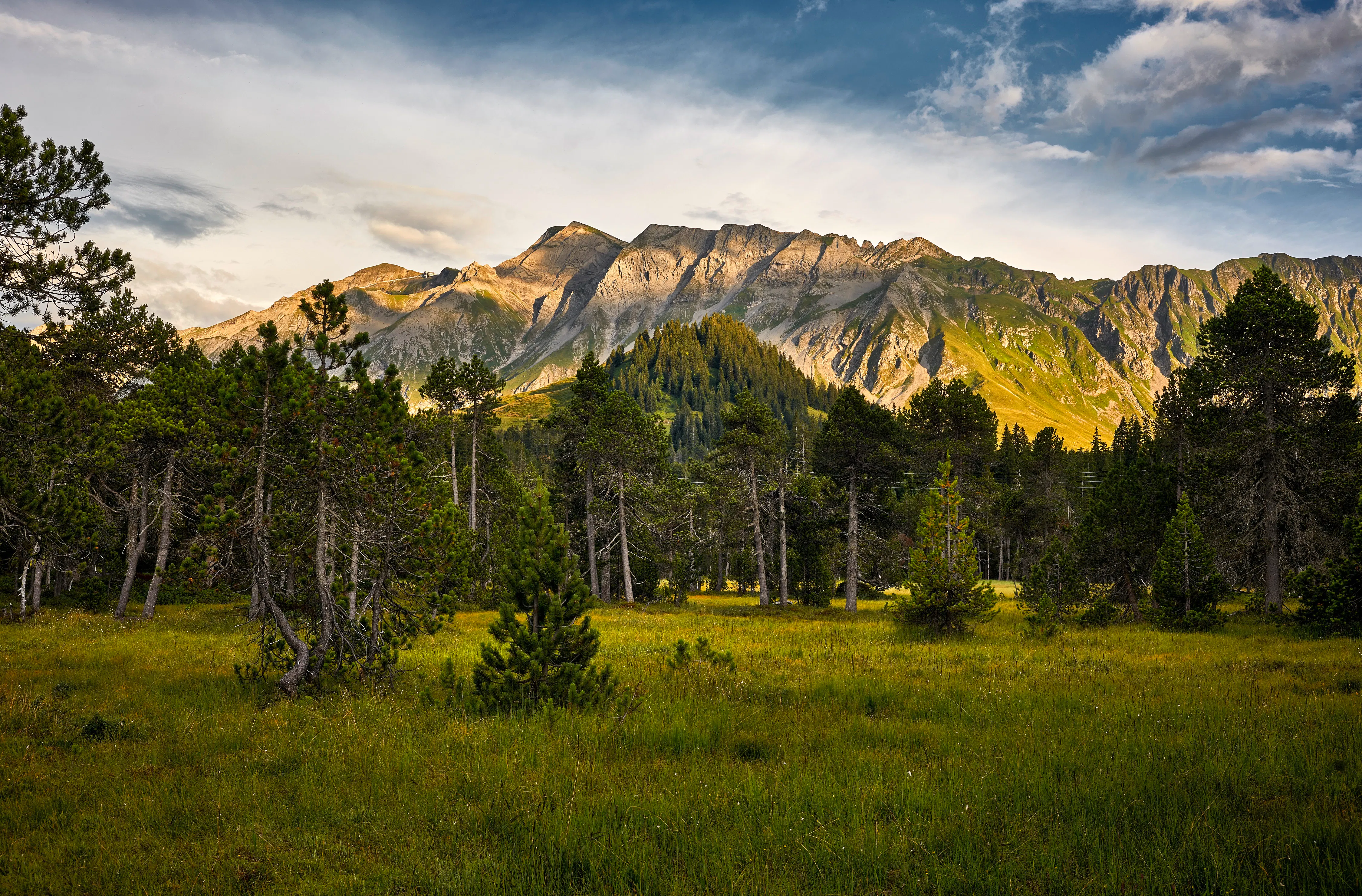 Wertgutschein Erlebnis-Restaurant Rossweid