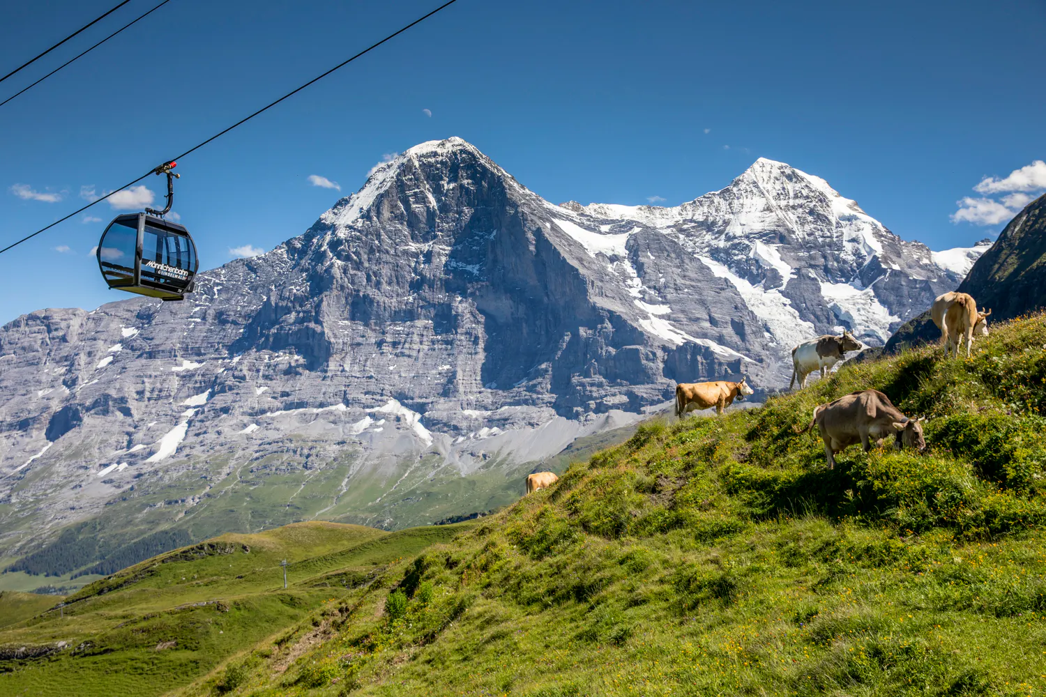 Fahrt mit der Gondelbahn Grindelwald-Männlichen