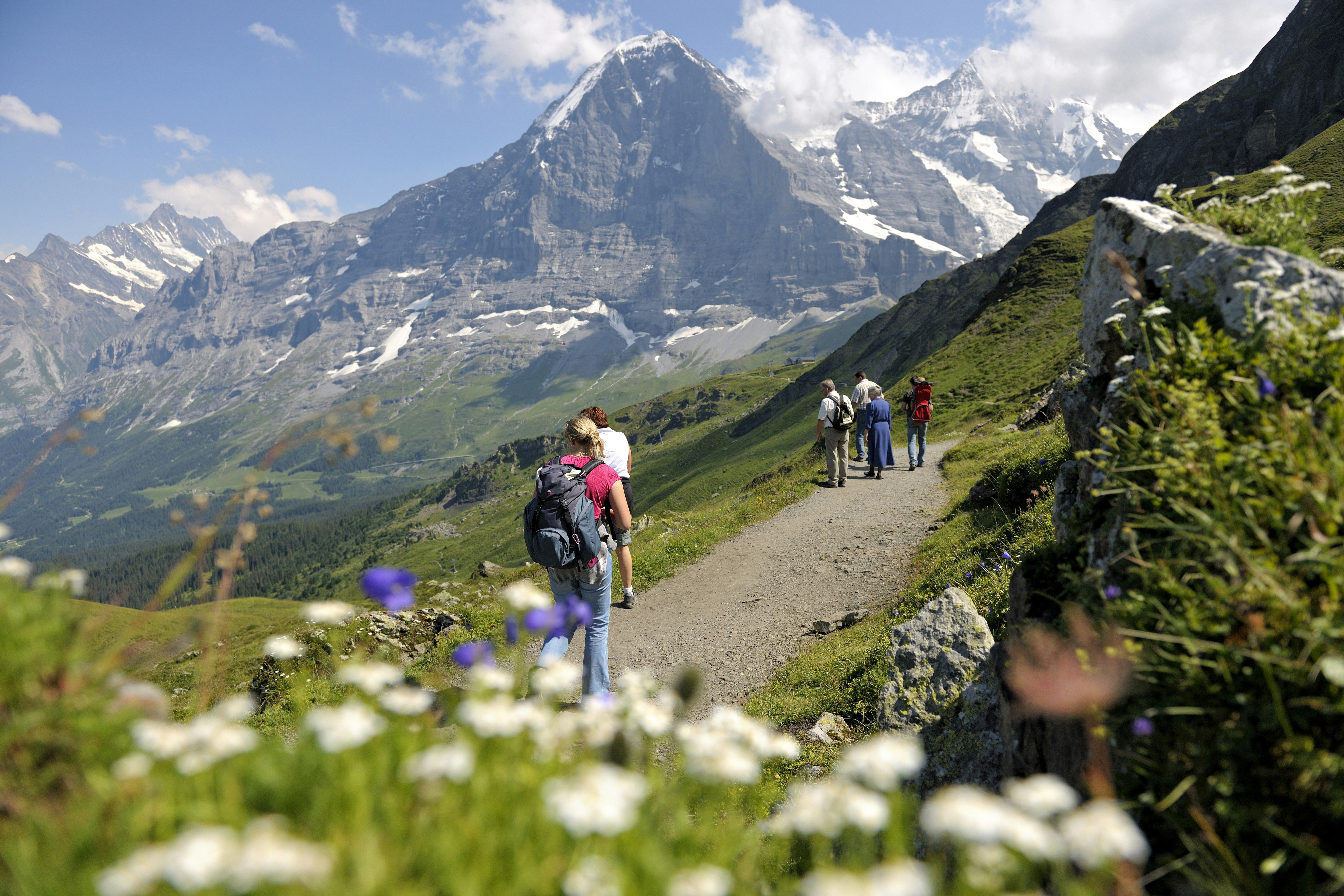 Panorama-Wanderrundfahrt Kleine Scheidegg