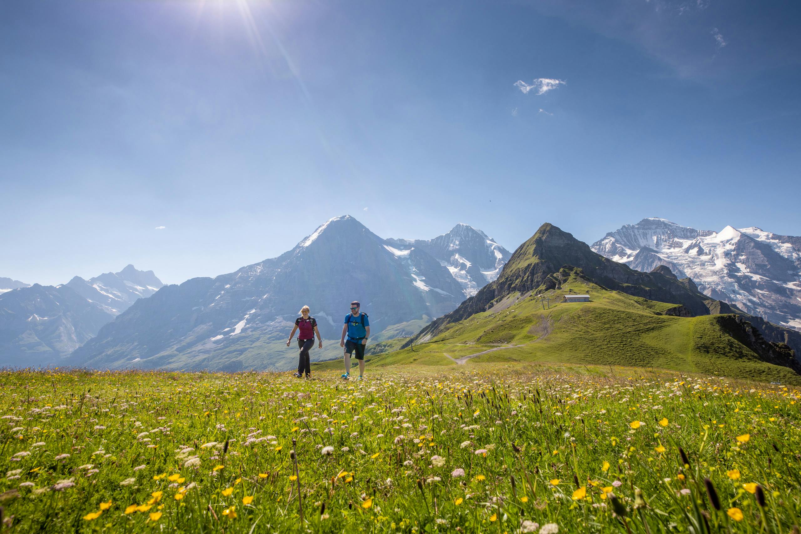Panorama-Wanderrundfahrt Kleine Scheidegg