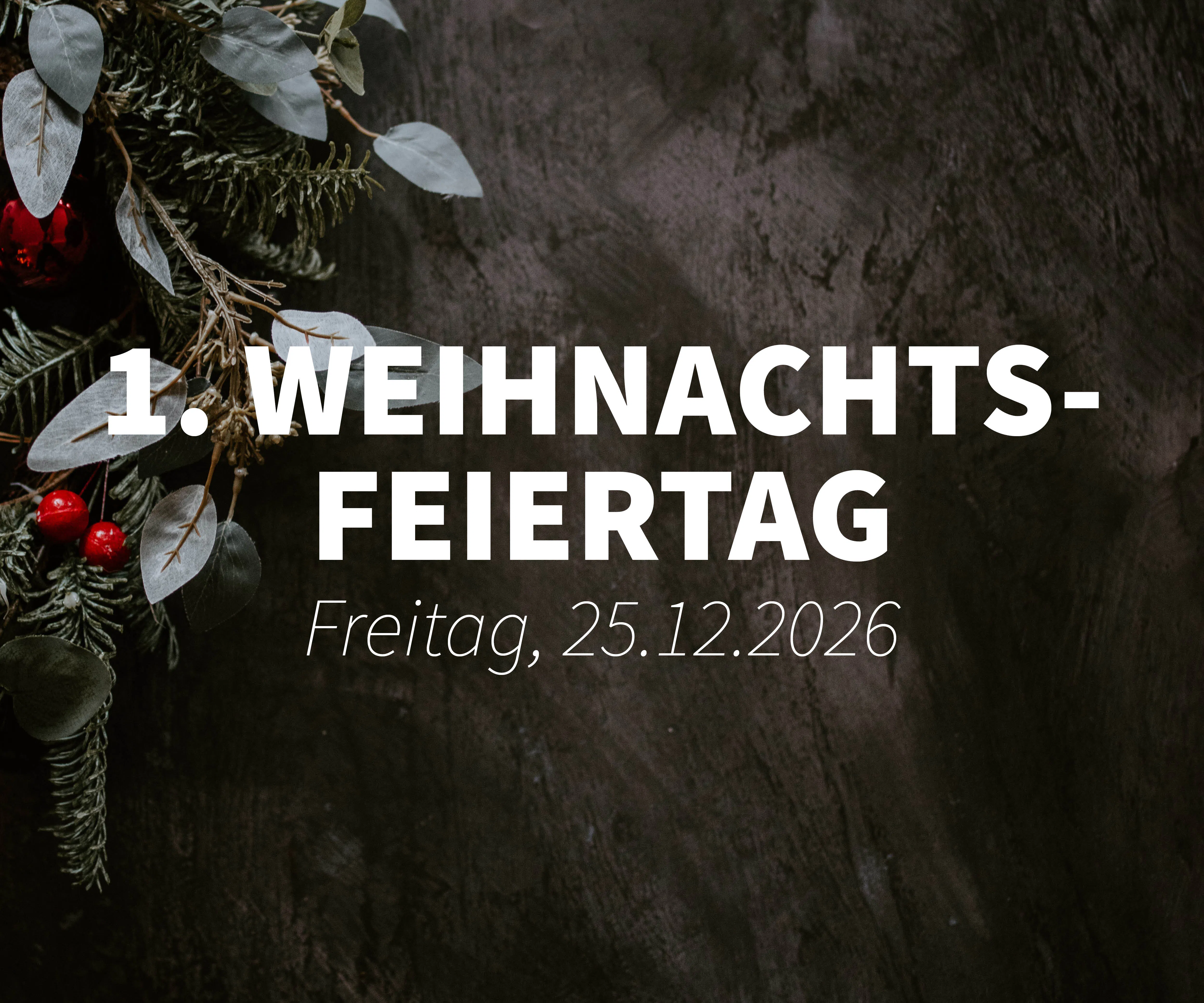 FEIERTAGSTICKET // Weihnachten 25.12.2026 // 14:15-16:00 Uhr
