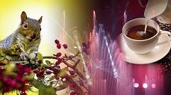 Kaffeezeit --  aktuelles Angebot  zum Kennenlernen  // ab 42,90