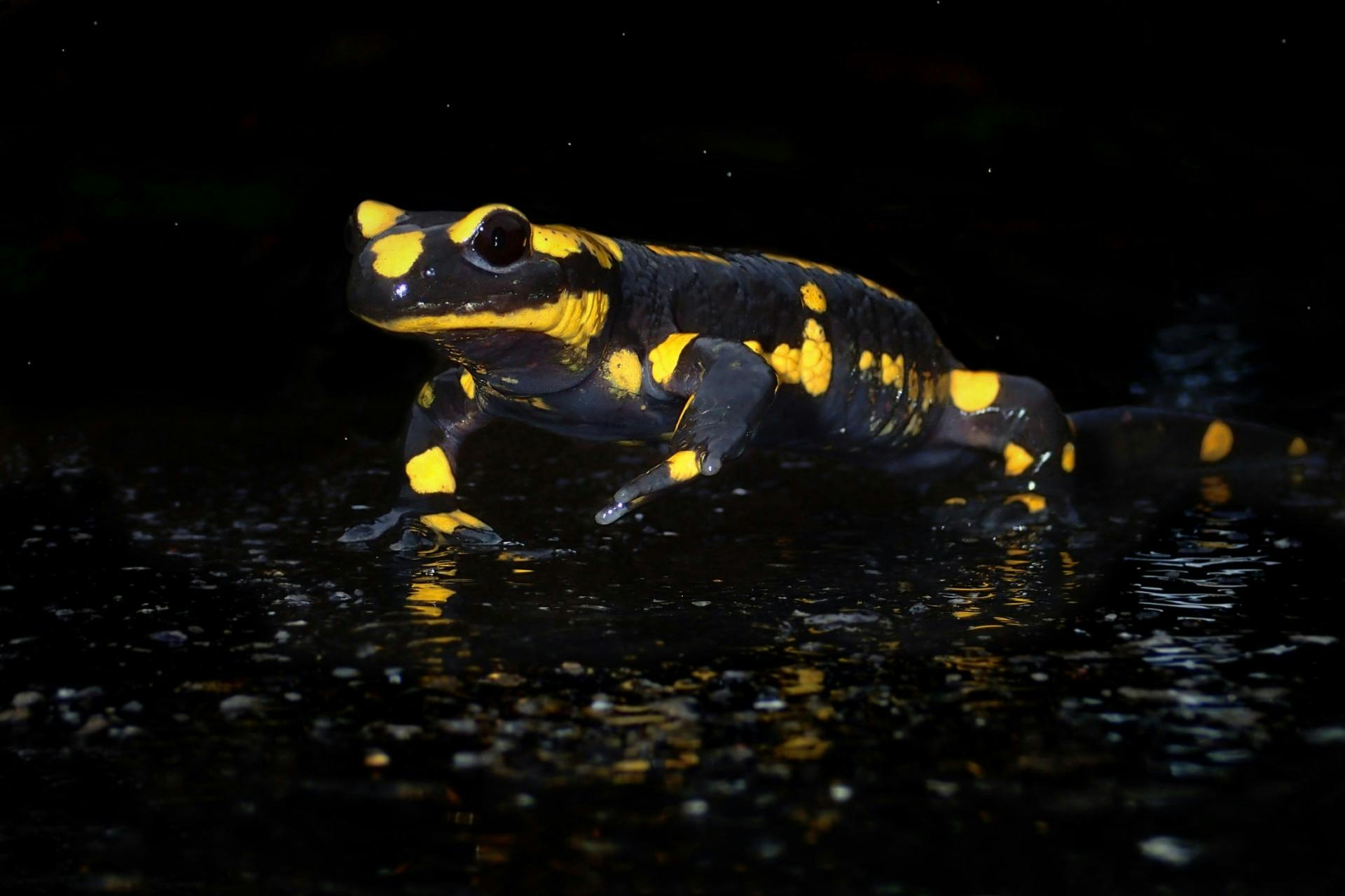 Kurs: Stimmungsvolle Fotografie im Abendlicht
