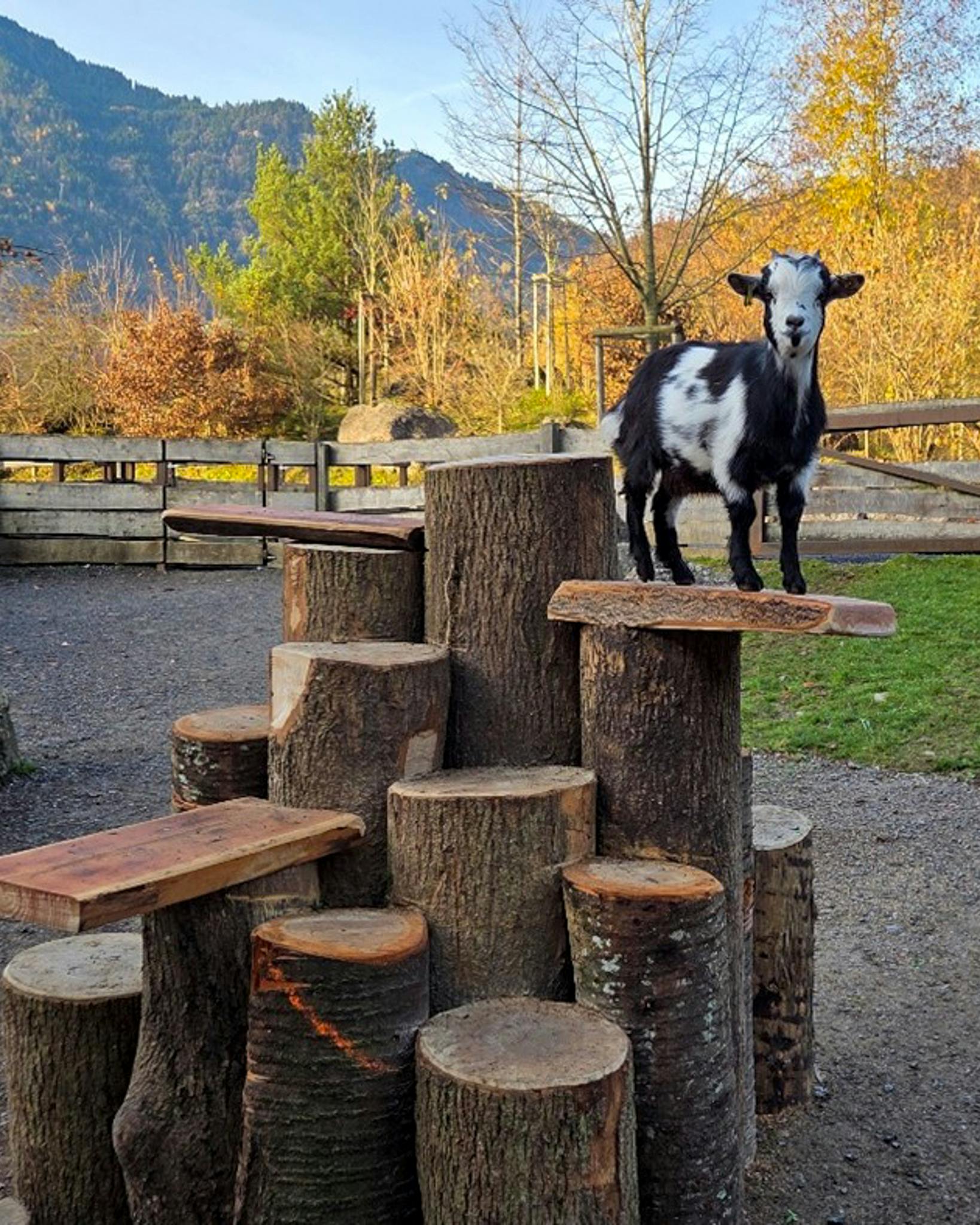 Ferienprogramm: Mithelfen im Grosswijer-Hof
