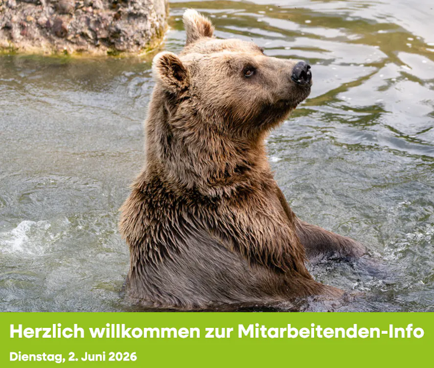 Info für Mitarbeitende & Freiwillige