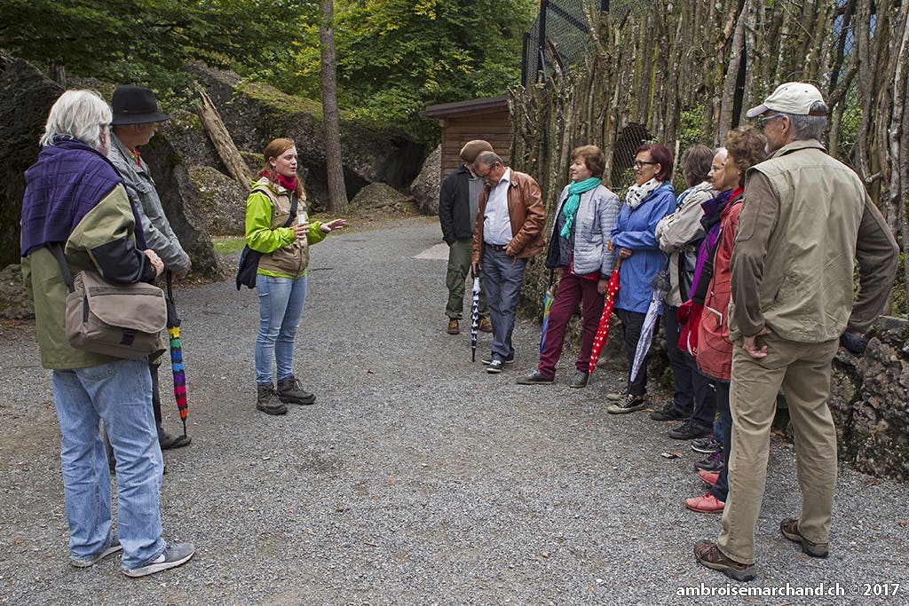Erlebnisreich für Senioren und Seniorinnen