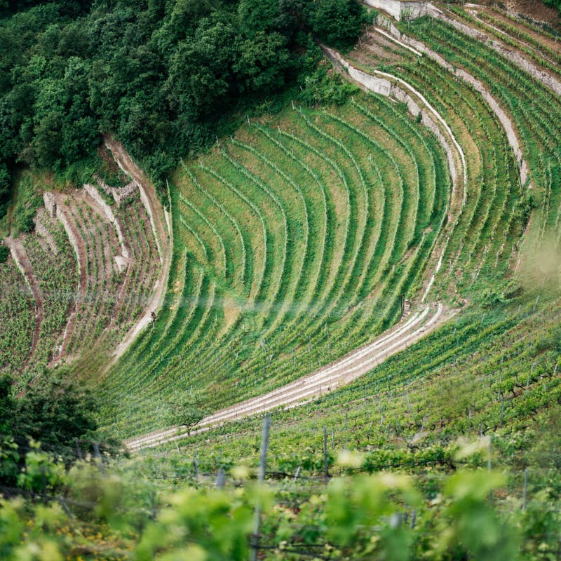 Treffen von Chappaz und Abbatucci bei Pic