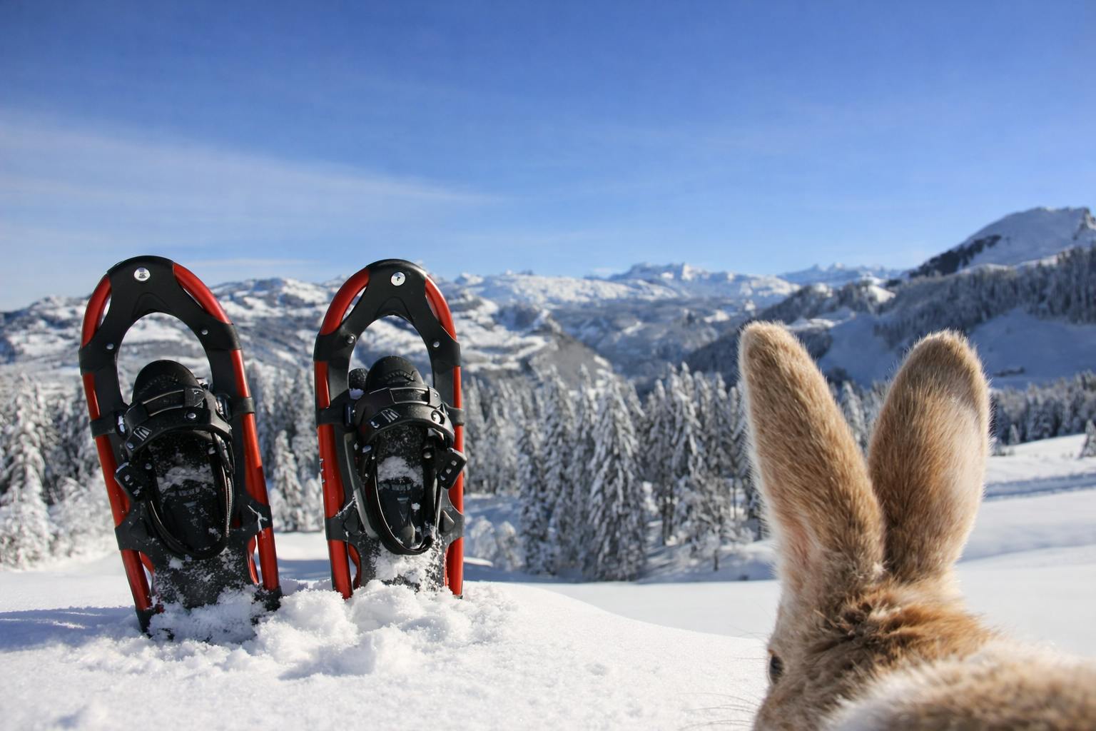 Oster Schneeschuh-Tour