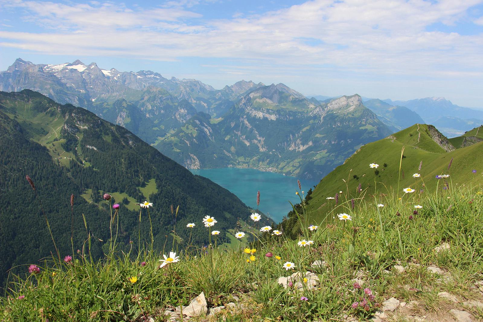 Gipfelerlebnis im Sommer