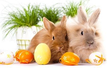 Mit Books & Bunny über Ostern im B2