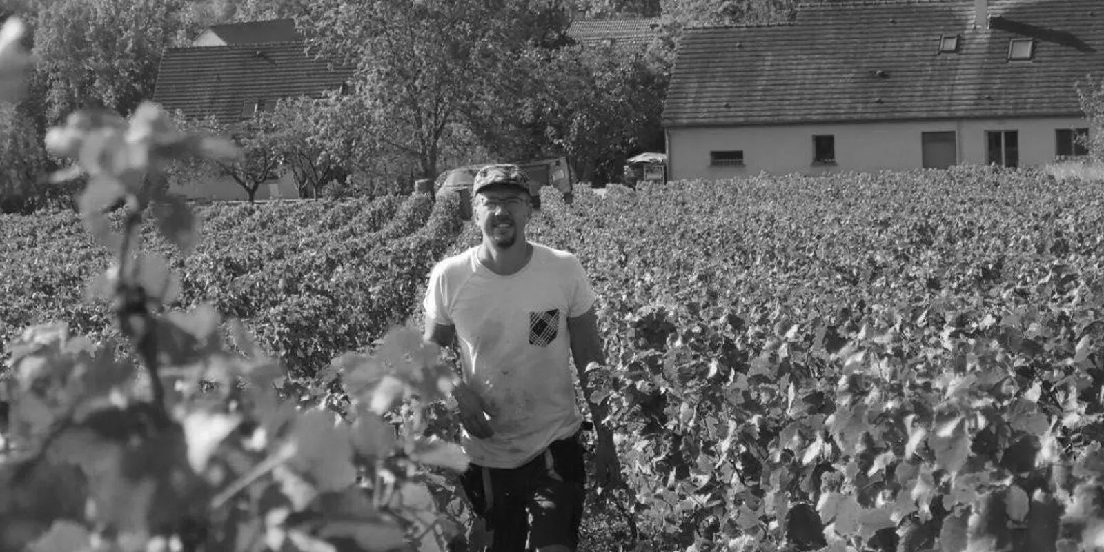 Winemaker Lunch with Tino Kuban – Maison Glandien @ Widder Restaurant