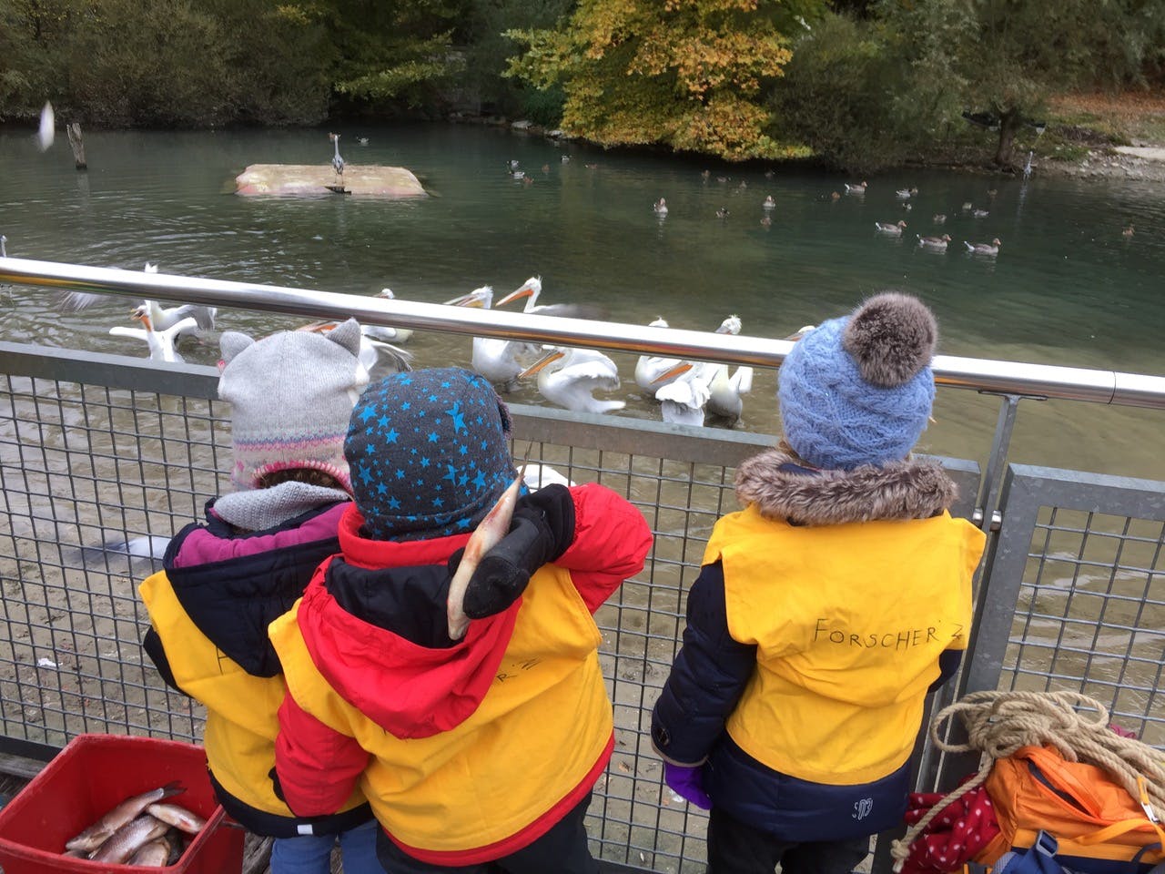 «Chlini Dählhölzli Forscher*Innen» im Tierpark Bern