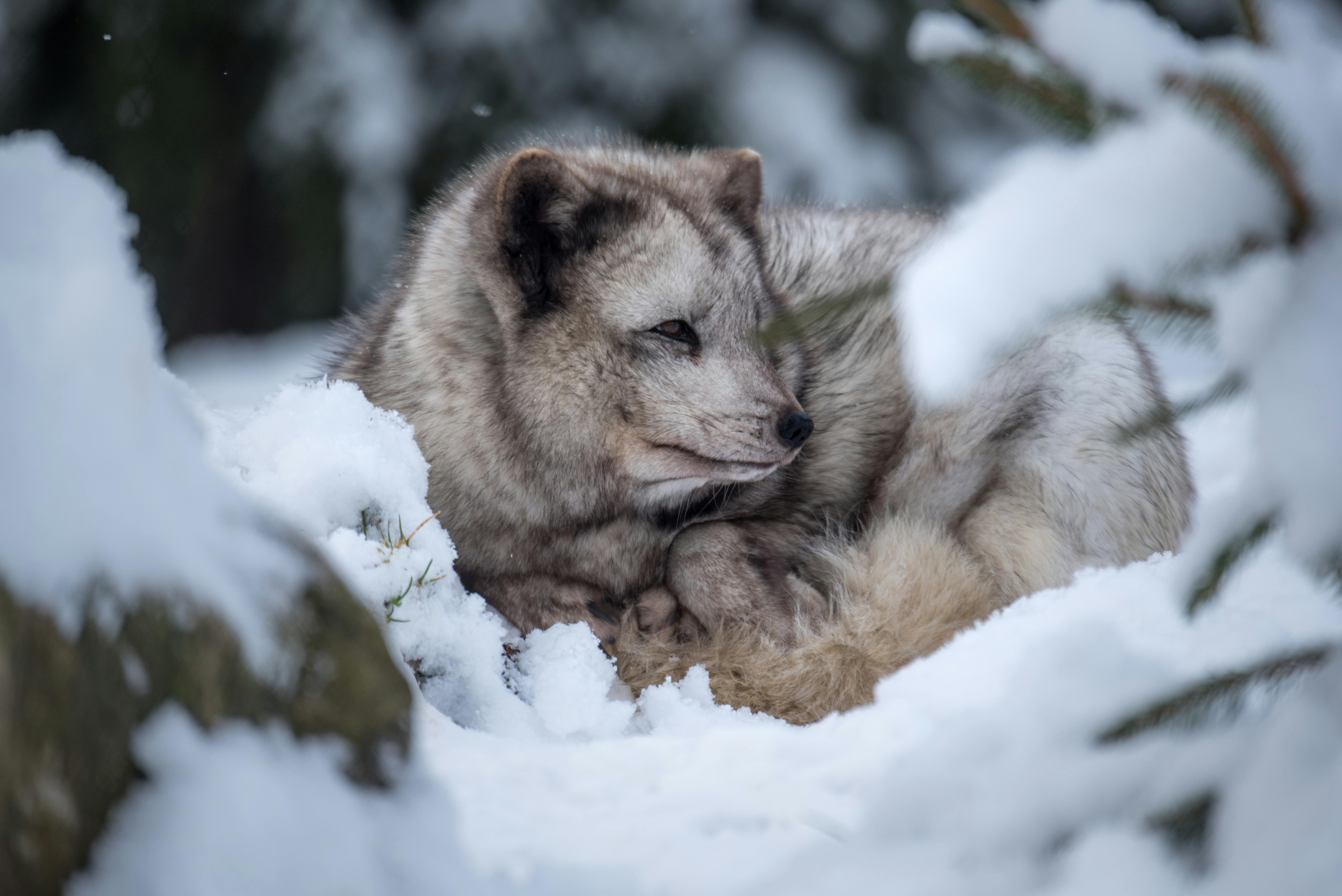 Weihnachten für ALLE