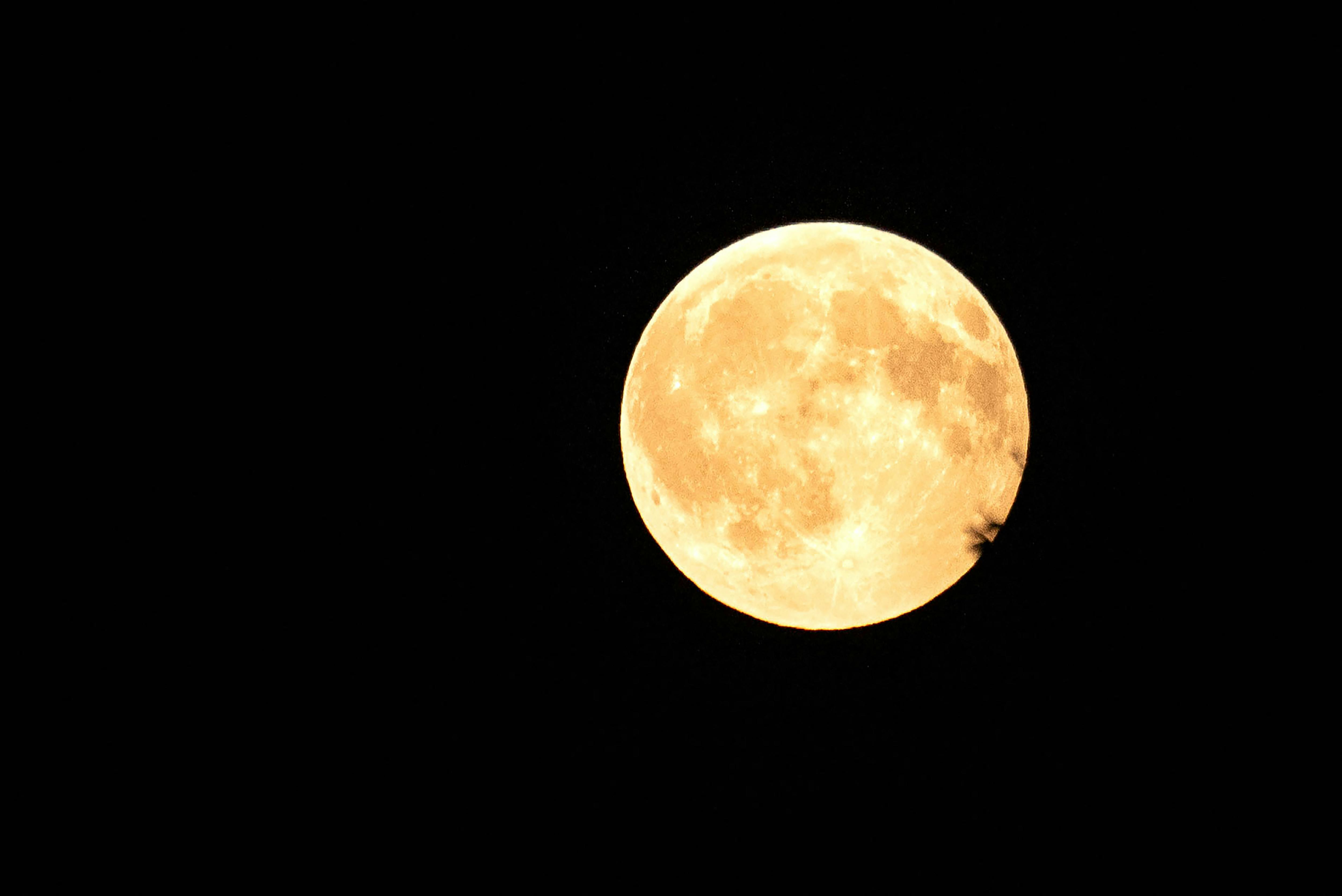 Abendführungen bei Vollmond