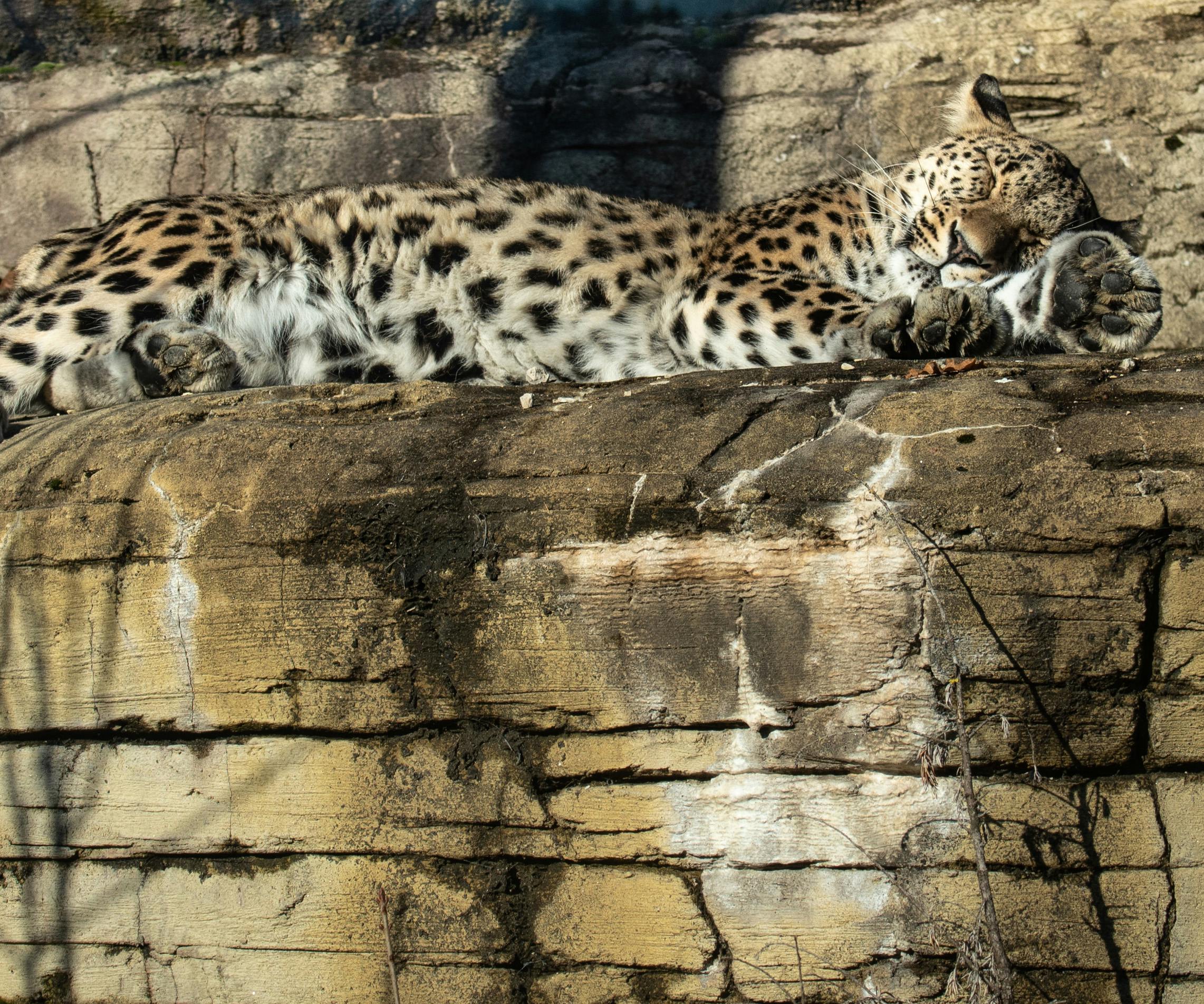 Übernachten im Dählhölzli