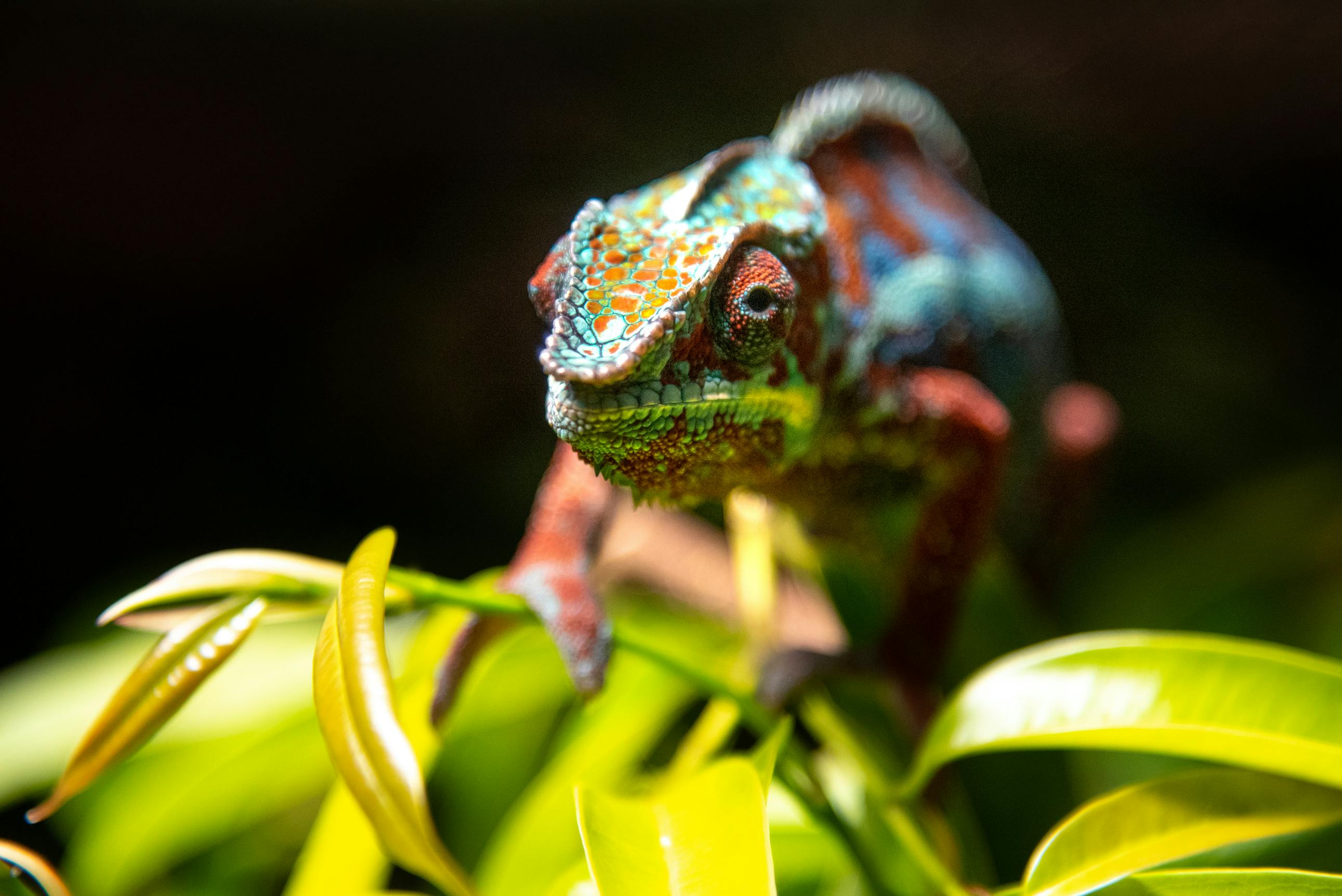 Das Dählhölzli für Seniorinnen und Senioren
