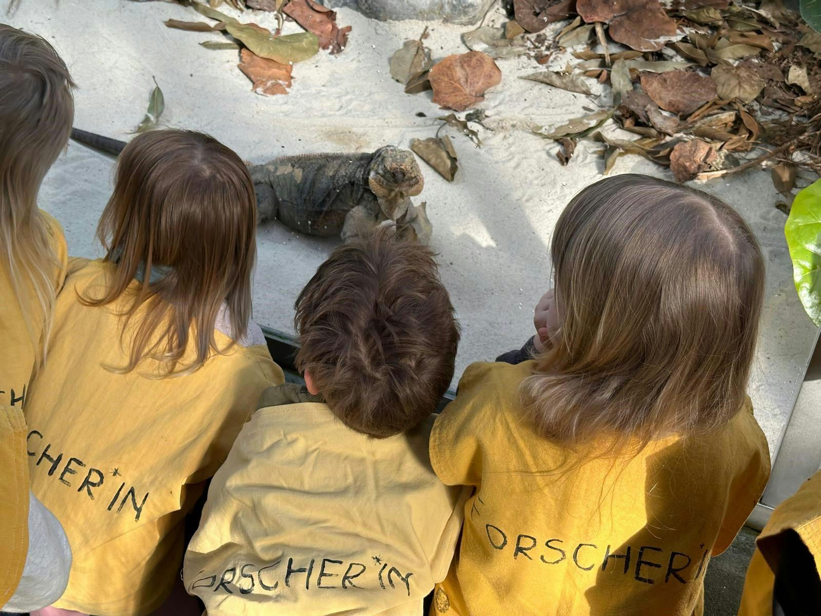 Chlini Dählhölzli Forscher*innen, für Kinder von 3-5 Jahre. Mittwoch Kurs 2